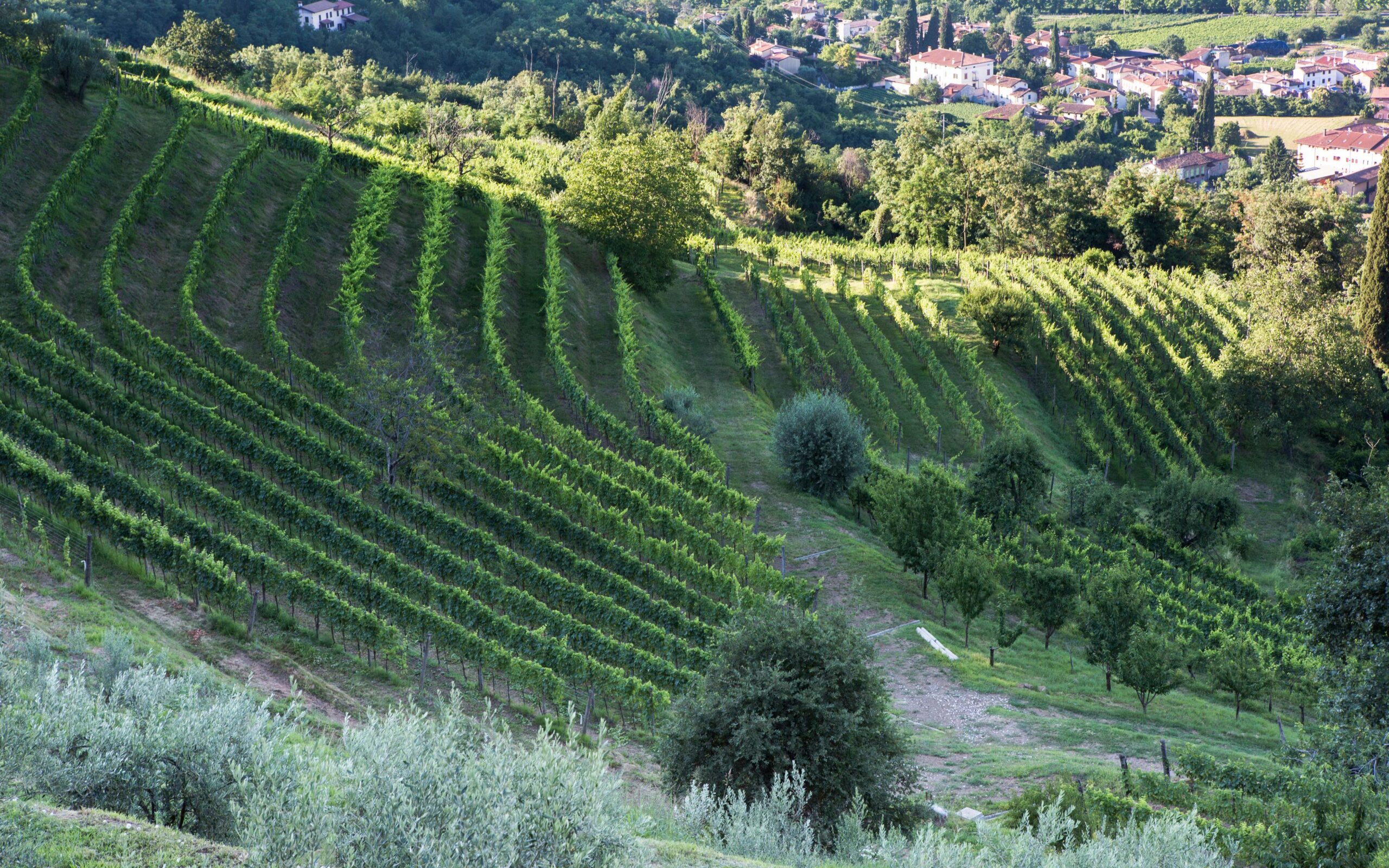 tenuta-slideshow-03